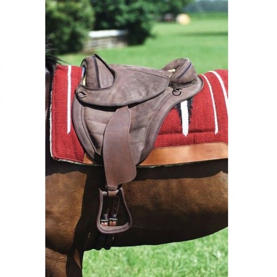 Kαναδική Σέλα χωρίς δέντρο