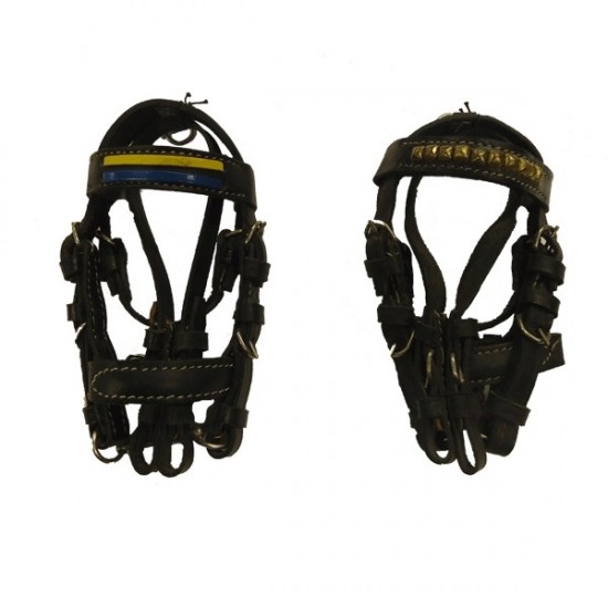 Μινιατούρα γκέμι