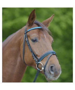Leather Bridles With Colourfull Browband
