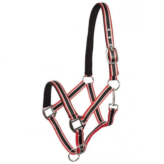 Ενισχυμένο συνθετικό Καπίστρι (P)