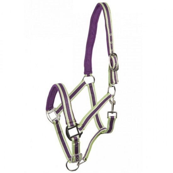 Ενισχυμένο συνθετικό Καπίστρι (P)