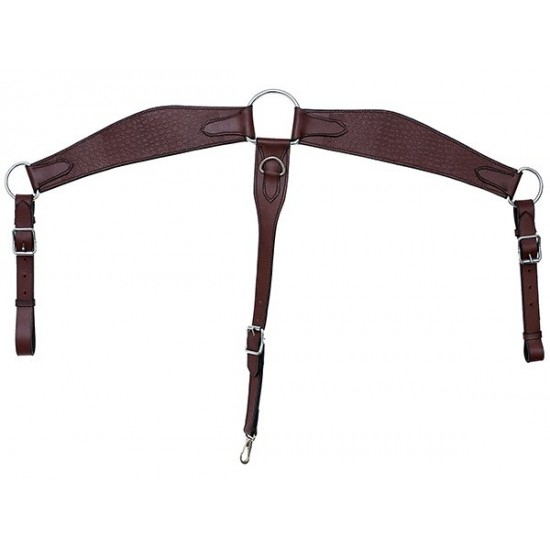 Προστερνίδιο τύπου Western