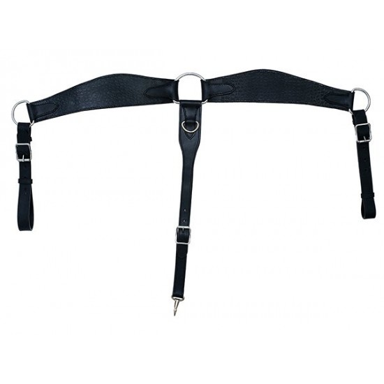 Προστερνίδιο τύπου Western