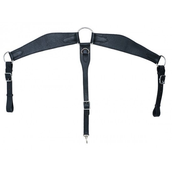 Προστερνίδιο τύπου Western