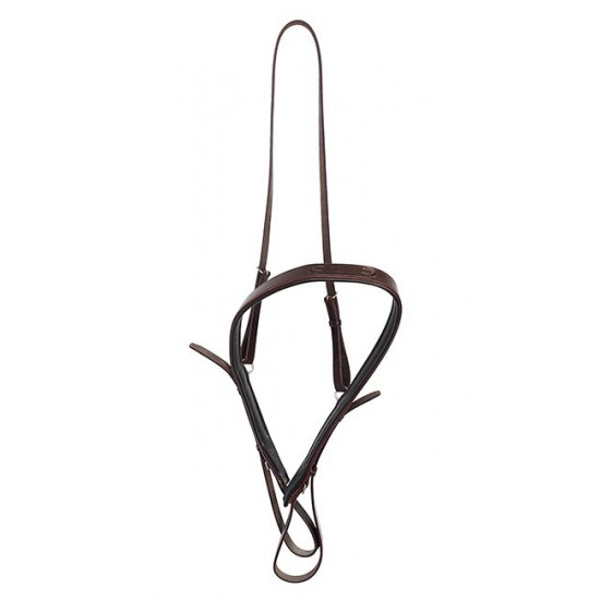 Προστερνίδιο αγγλικής ιππασίας (S)